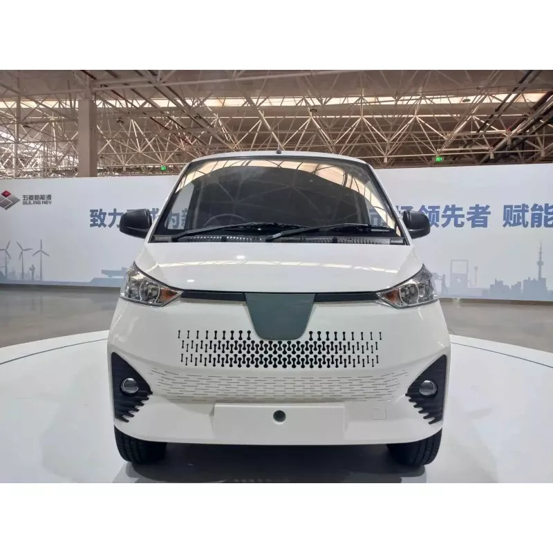 Kedu ihe bụ obere Van Electric?