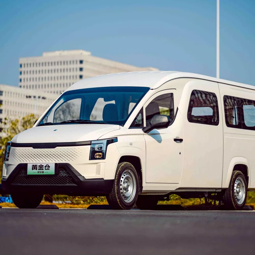 Loginis Cargo van